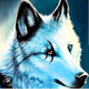 Meet your Posher, Raven